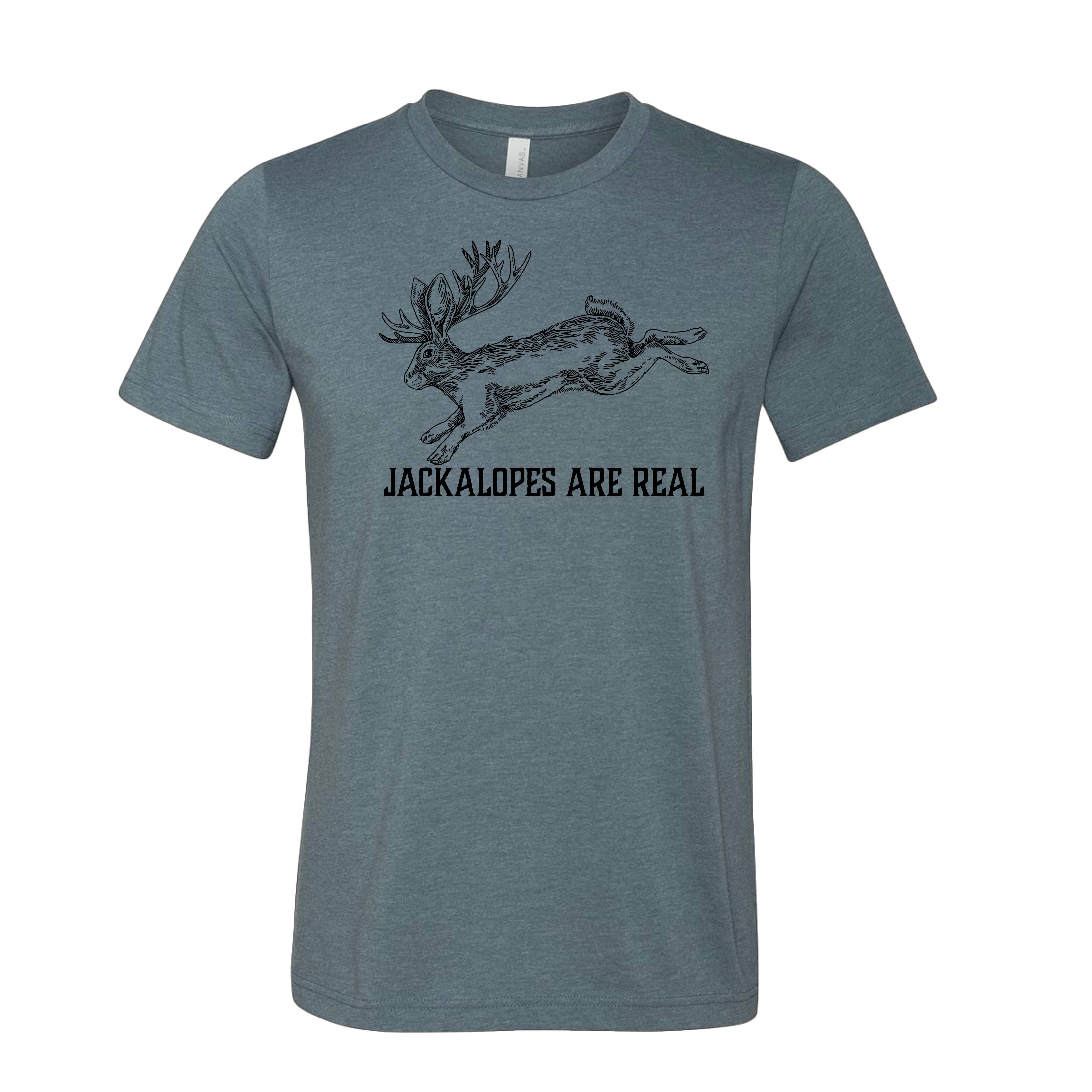 This Joyful Home - Wholesale T-Shirt (Graphic) - Unisex - Jackalopes are Real Wyoming Unisex T Shirt 3