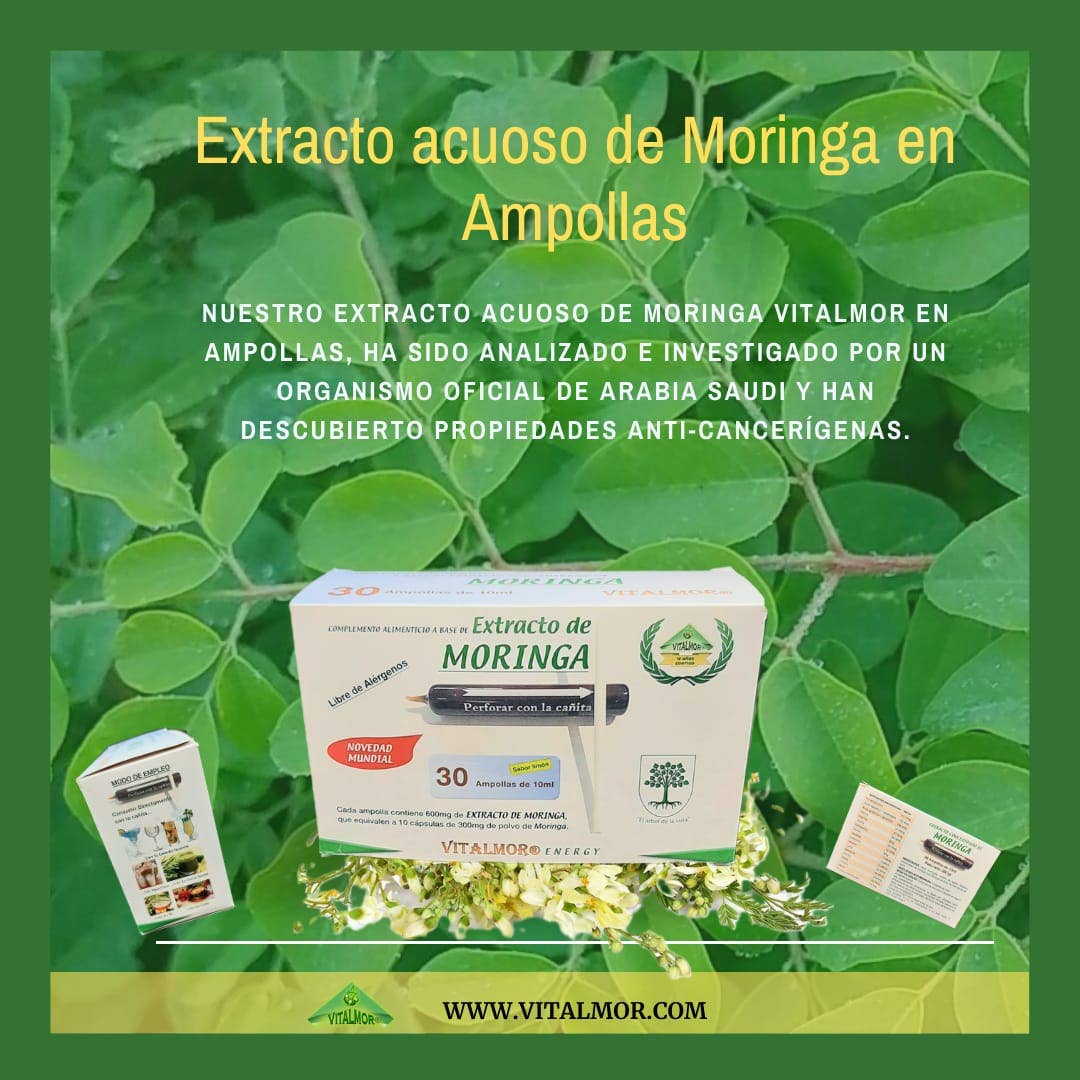 VITALMOR - Venta al por mayor Suplementos/vitaminas para beber - Ampollas de Moringa2