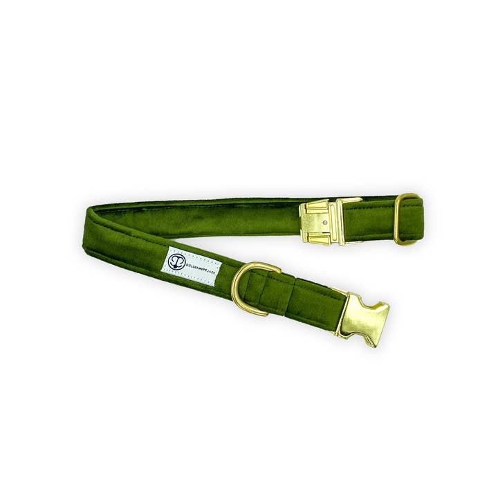 Green Velvet Standard Collar for wholesale by Golden Mutt Jack