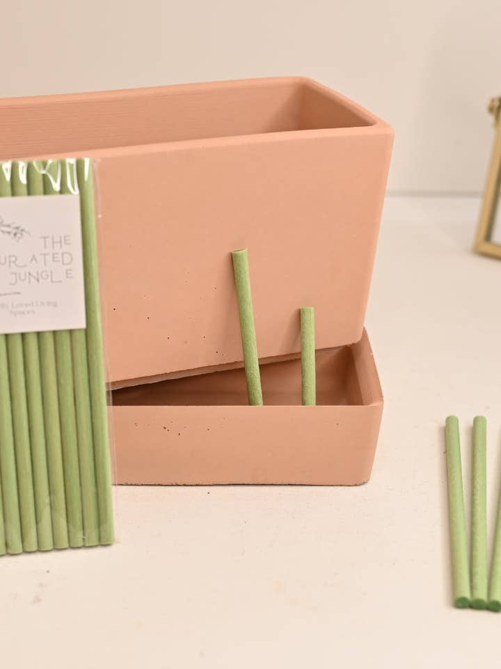 Plant Wick Sticks 10-Pack for wholesale by The Curated Jungle