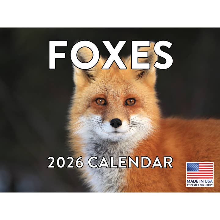 Fox Calendar 2026 Foxes Monthly Wall Calender 12 Month for wholesale by 2026 Calendars