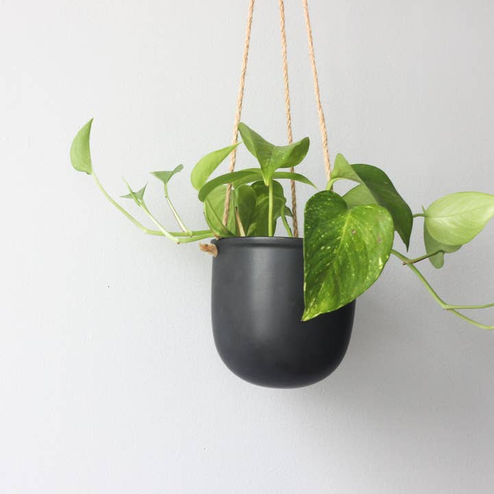 Sprout & About - Wholesale Hanging Planter - Matte Black Hanging Planter Pot