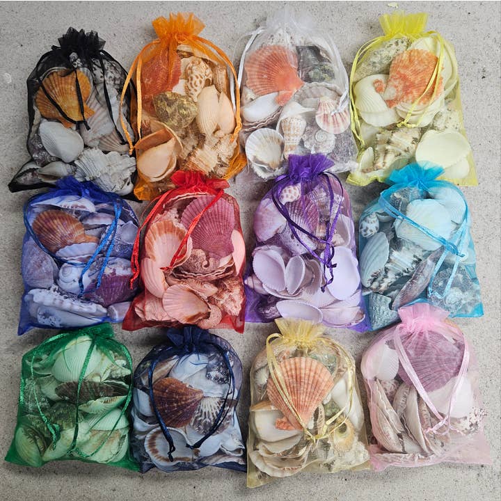 ASSORTED NET BAG 5-6" for wholesale by Darlene's Shells
