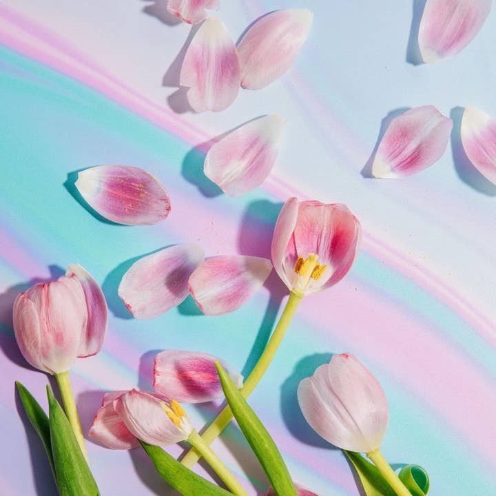 Pastel Skies Fotografi Baggrund for engroshandel hos Everyday Co.