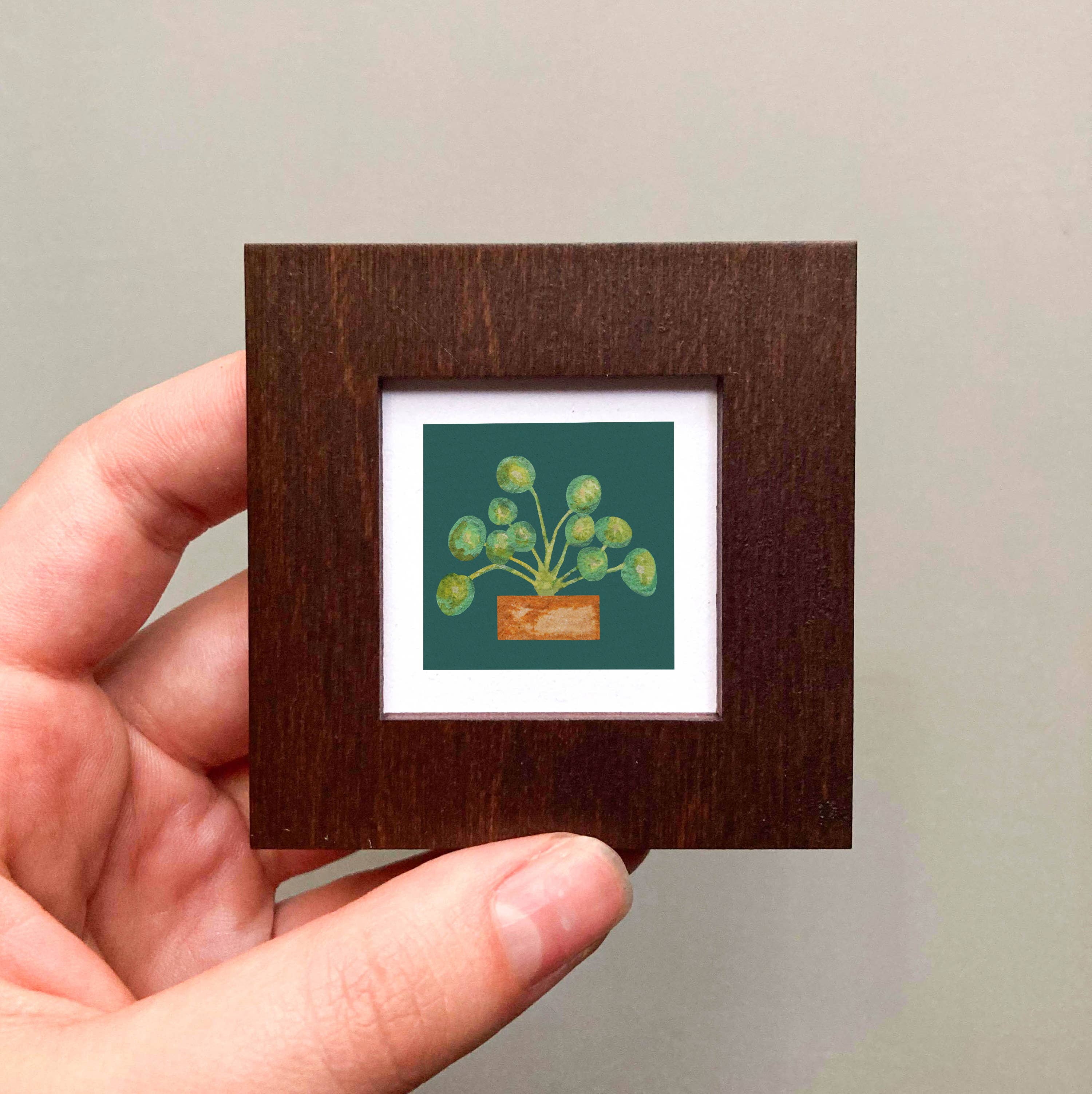 Mick's Art Goods - Wholesale Art Print - Mini 1" Pilea Peperomioides Houseplant Tiny Framed Art Print3