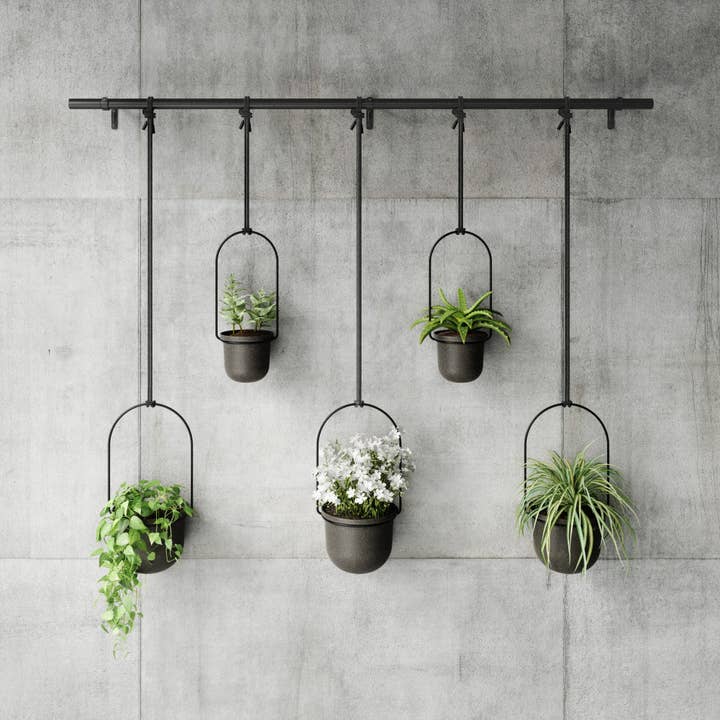 Umbra - Wholesale Hanging Planter - Triflora Hanging Planters, Set of 52
