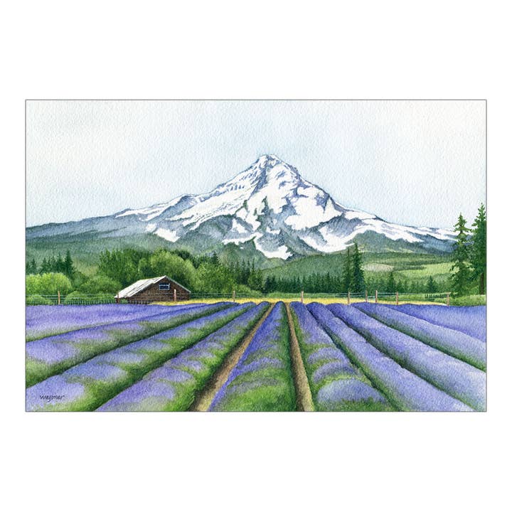 Mt Hood Lavender Valley (4-1/4" x 5-1/2" notecard) for wholesale by Bonny Wagoner - Artist/Illustrator