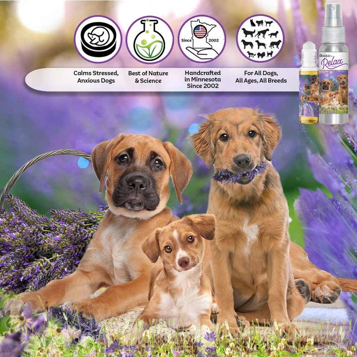 The Blissful Dog – Großhandel Haustierspray – Hund – Relax Dog Aromatherapie Beruhigungsspray & Roll-on