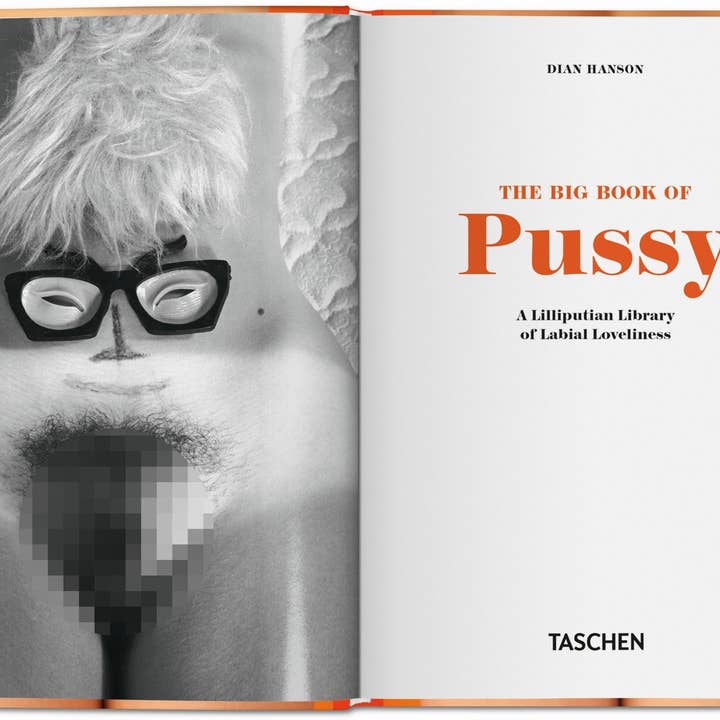 TASCHEN Europe – Engroshandel Displaybog – Den lille store bog om fisse (tysk, fransk, engelsk)1