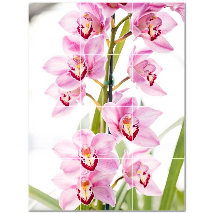 Blumen-Keramikfliese Keramikfliesen-Wandbild PT500659 für den Großhandel von Picture-Tiles.com