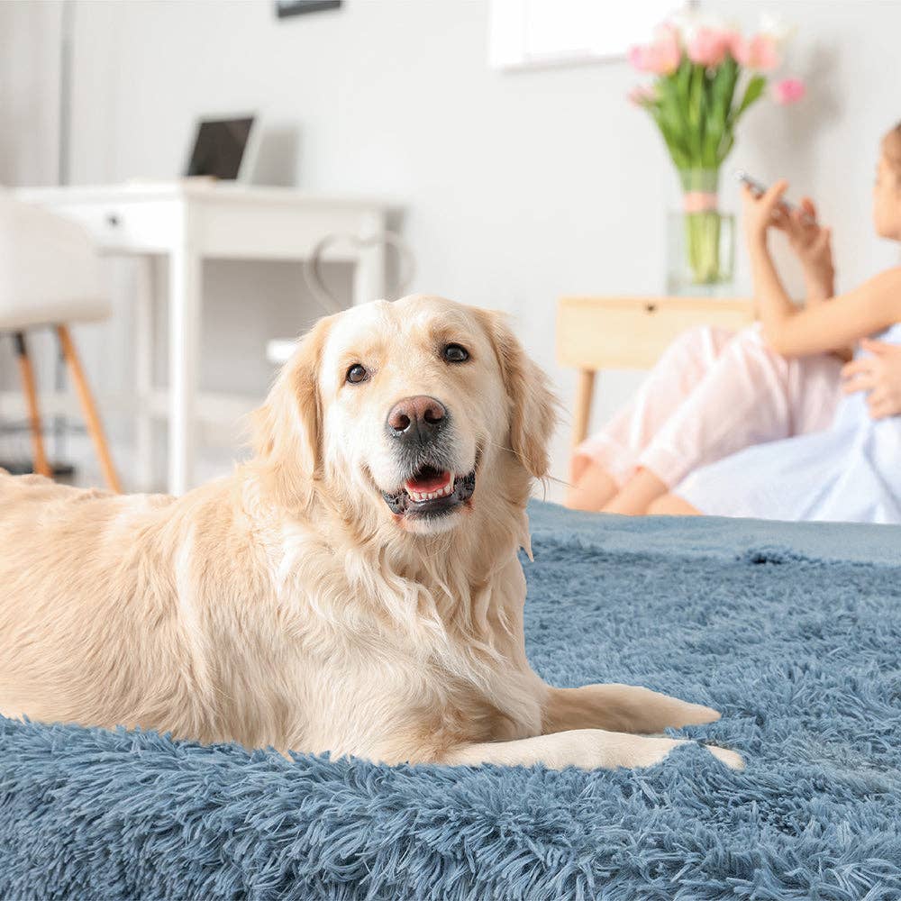 PetAmi – wholesale Filt - Katt och hund – Vattentät fuskpäls Pet Filt32