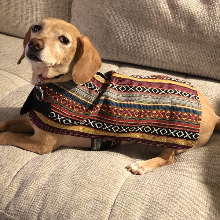 Poncho para perro 100% tejido a mano - Sonora para venta al por mayor de Walking Palm