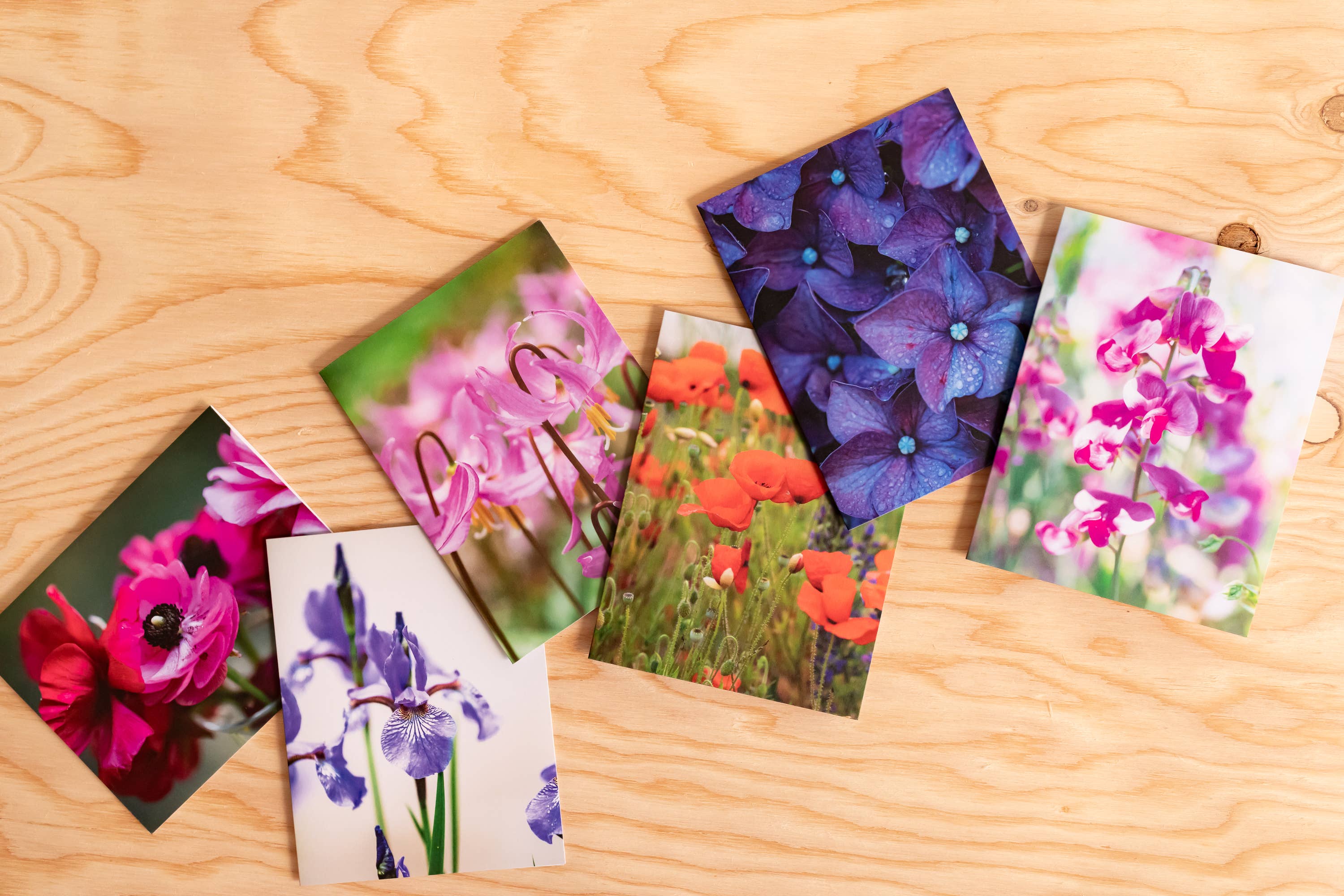 Andrea Morris Art - Wholesale Stationery/Notecard Set - Floral Card Variety Pack (5 Different Cards + Envelopes)