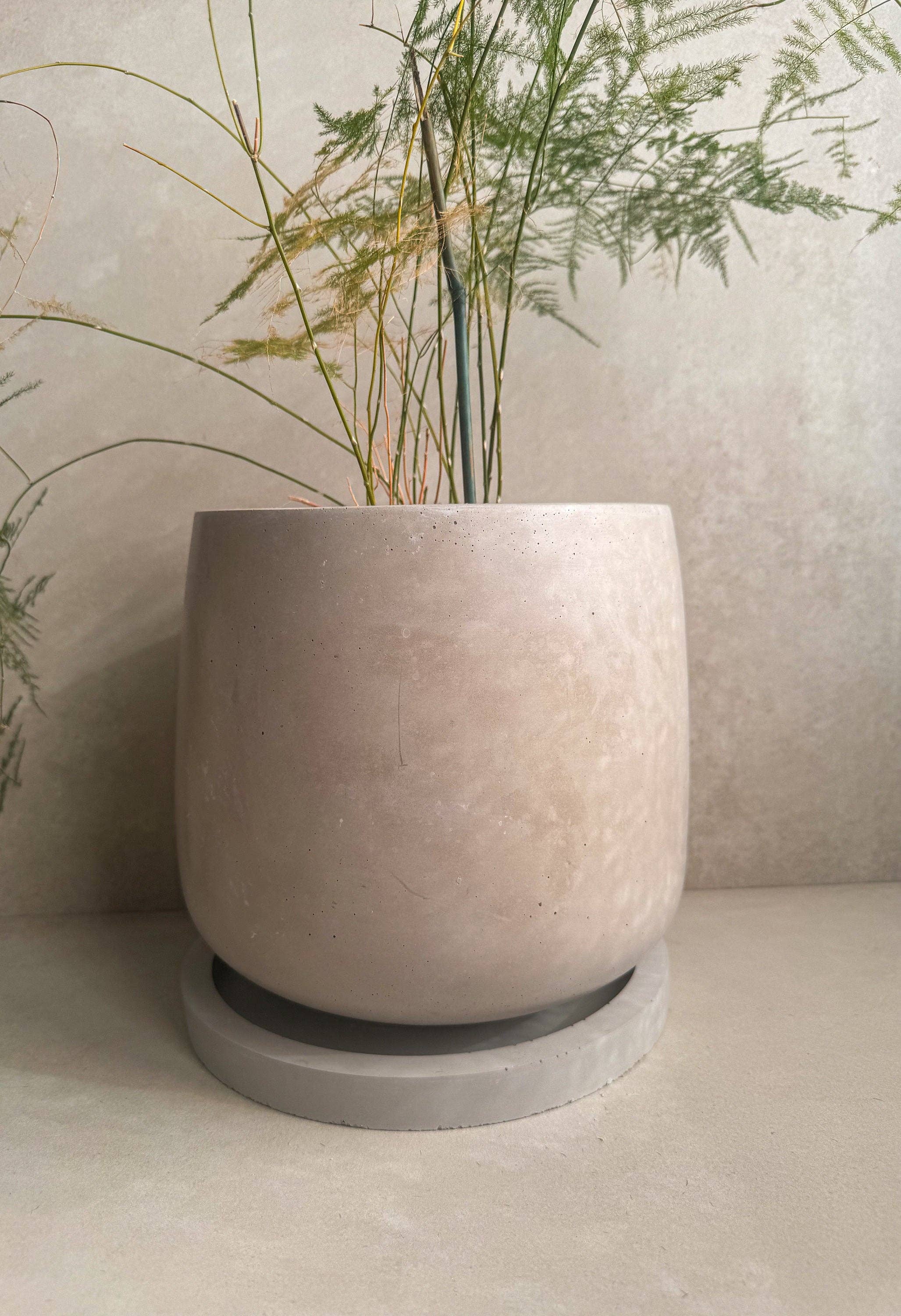Minimal Loot Design - Vente Pot - Jardinière en béton avec soucoupe, grand pot de fleurs moderne, jardinière à bulles, pot en ciment décoratif, pot minimaliste avec drainage, grand pot nordique2