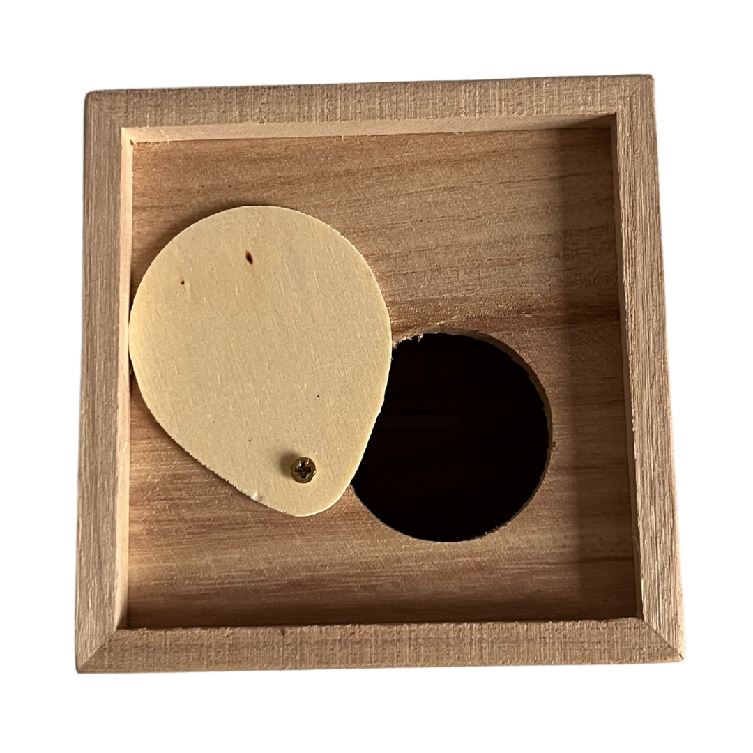 Kinderkoffertjes.nl - Wholesale Money/Piggy Bank - Kids & Baby - Wooden PIGGY BANK cube4