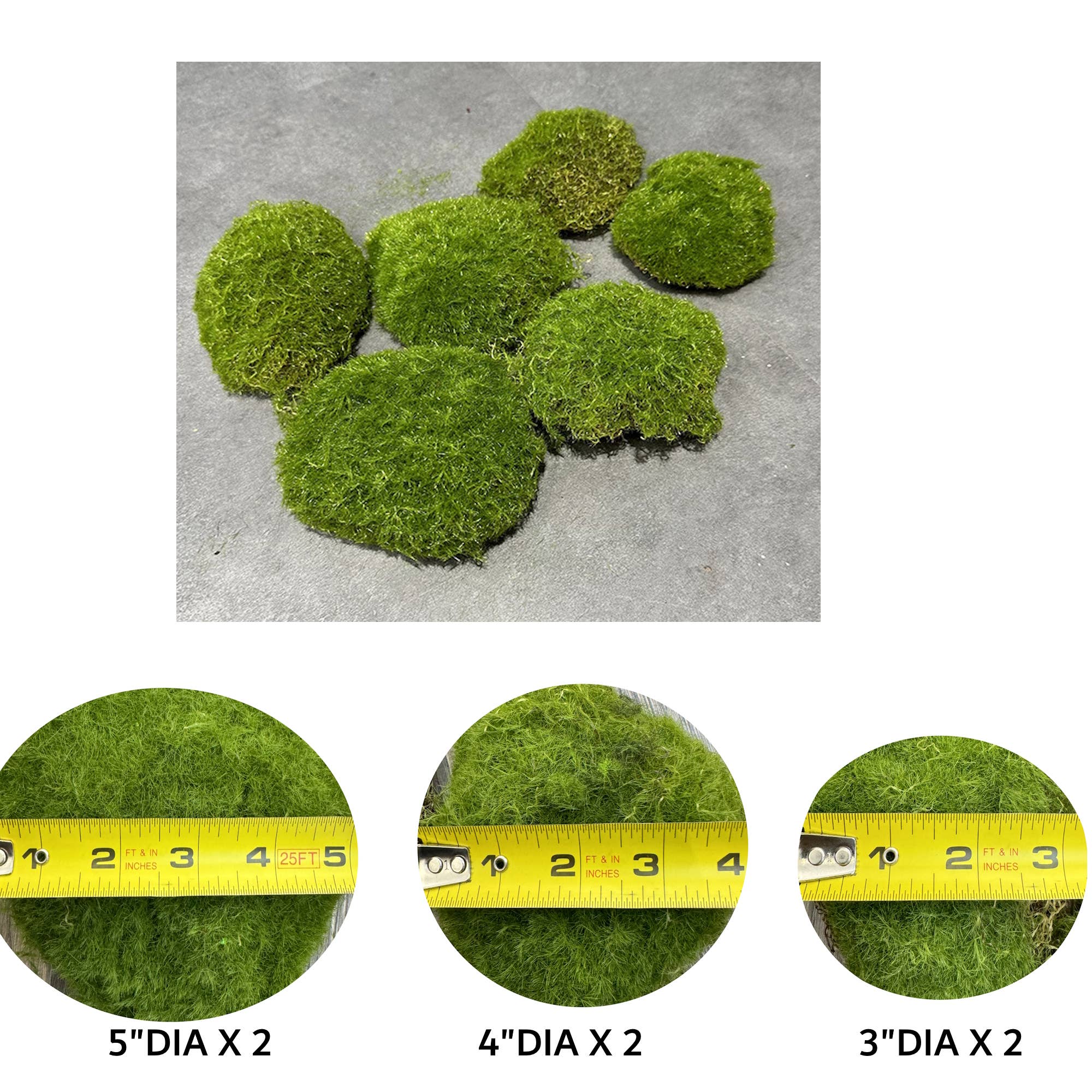 Angel Isabella - Wholesale Artificial Plant - Pack of 6-Large Lifelike Mixed Sizes Artificial Moss ball6