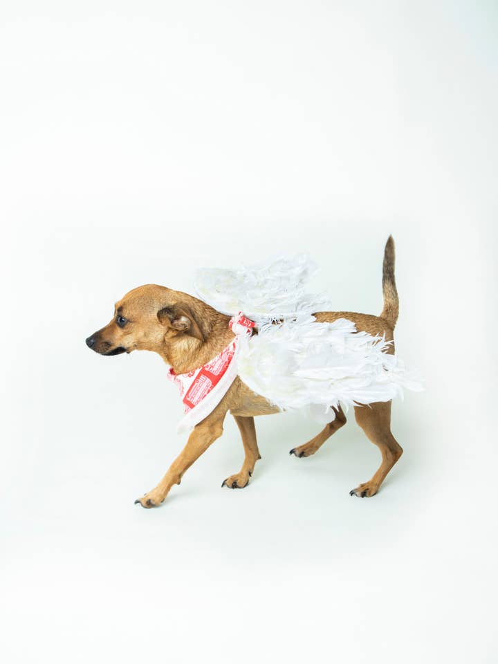 Pijama bandana navideño a juego para mascotas para venta al por mayor de MACRAE SKYE