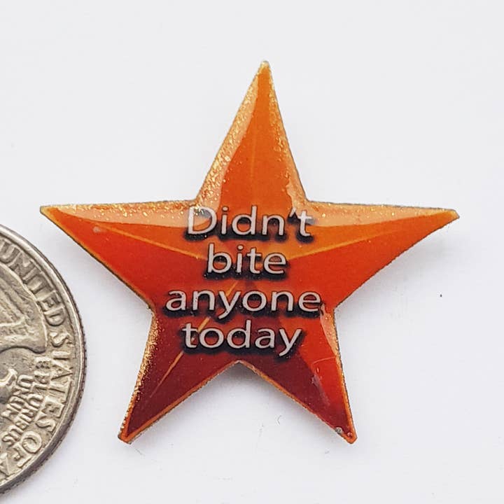 Adult Star Pin Didn't Bite Funny Snarky Award Badge Button for wholesale by SUPERAWWWSOME