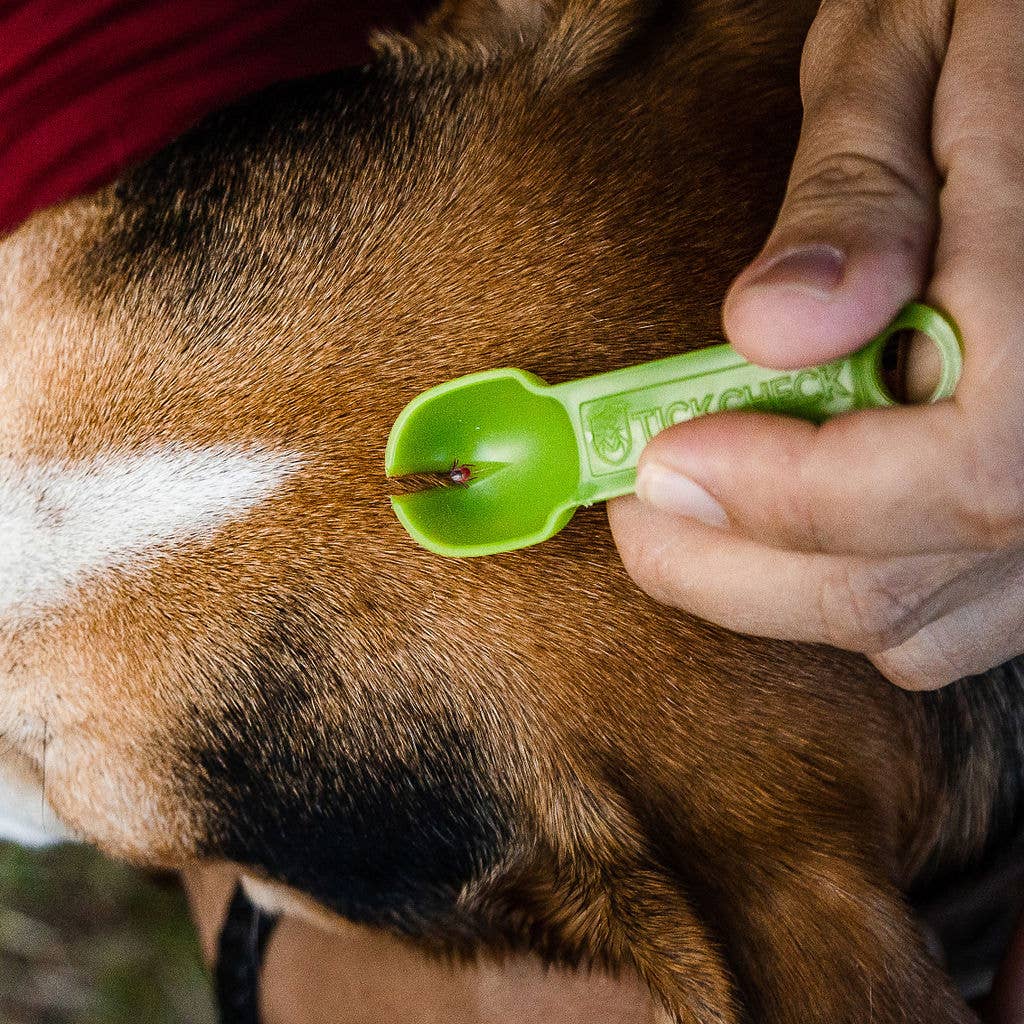 TickCheck - Wholesale Pet Grooming Tool - Dog - TickCheck Tick Remover Spoon 3 Pack- 12pc Hang Strip Display5