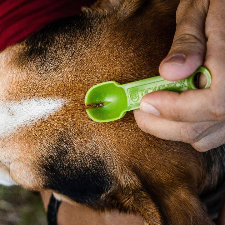 TickCheck - Wholesale Pet Grooming Tool - Dog - TickCheck Tick Remover Spoon 3 Pack- 12pc Hang Strip Display5