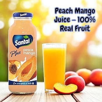 Savoury Imports Limited - Wholesale Fruit Juice - Santal Peach Mango Juice 250ml from Italy2