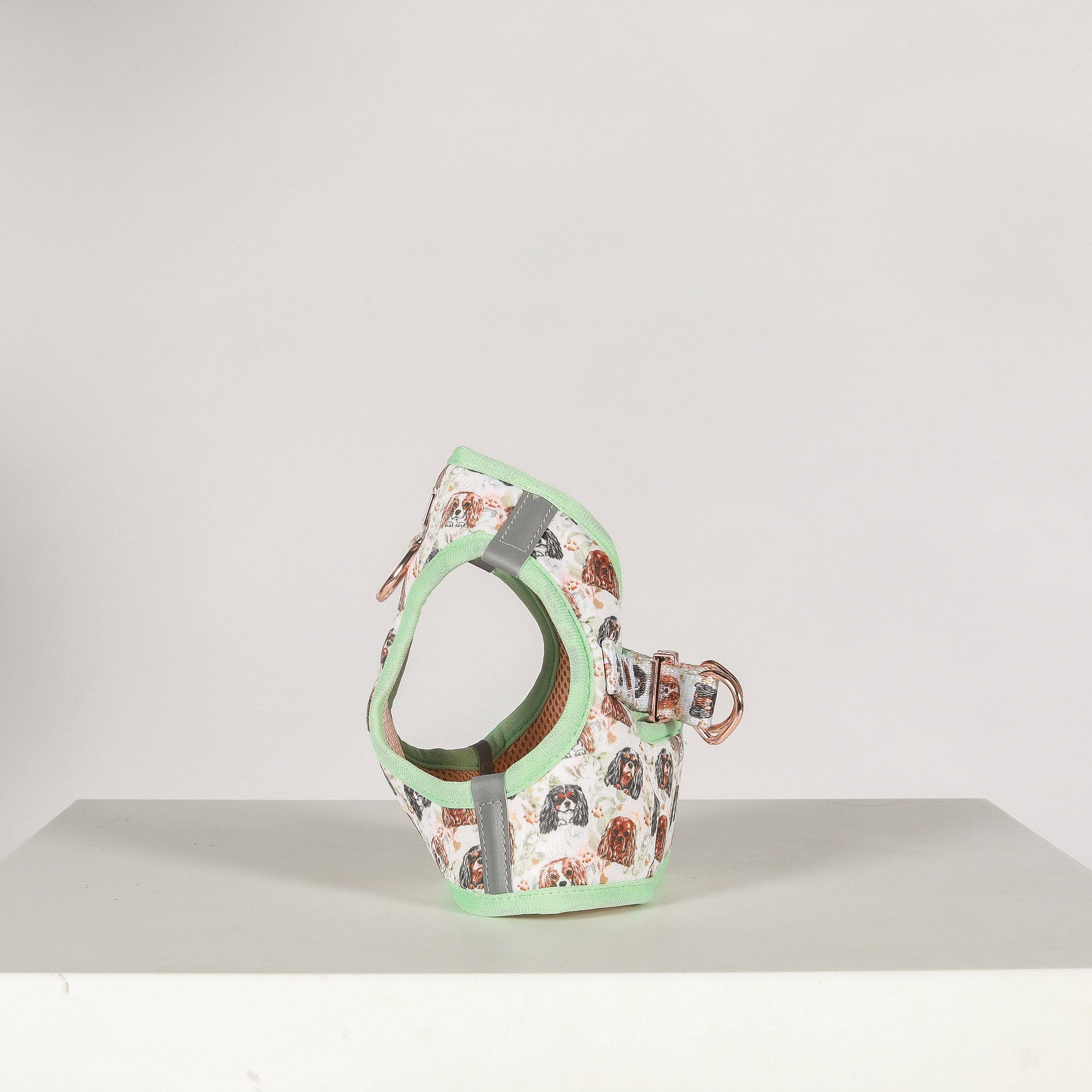 Cavology - Vendita all'ingrosso Pettorina - Cani - PETTORINA PER CANI STEP IN - Cavalier King Charles Spaniel3