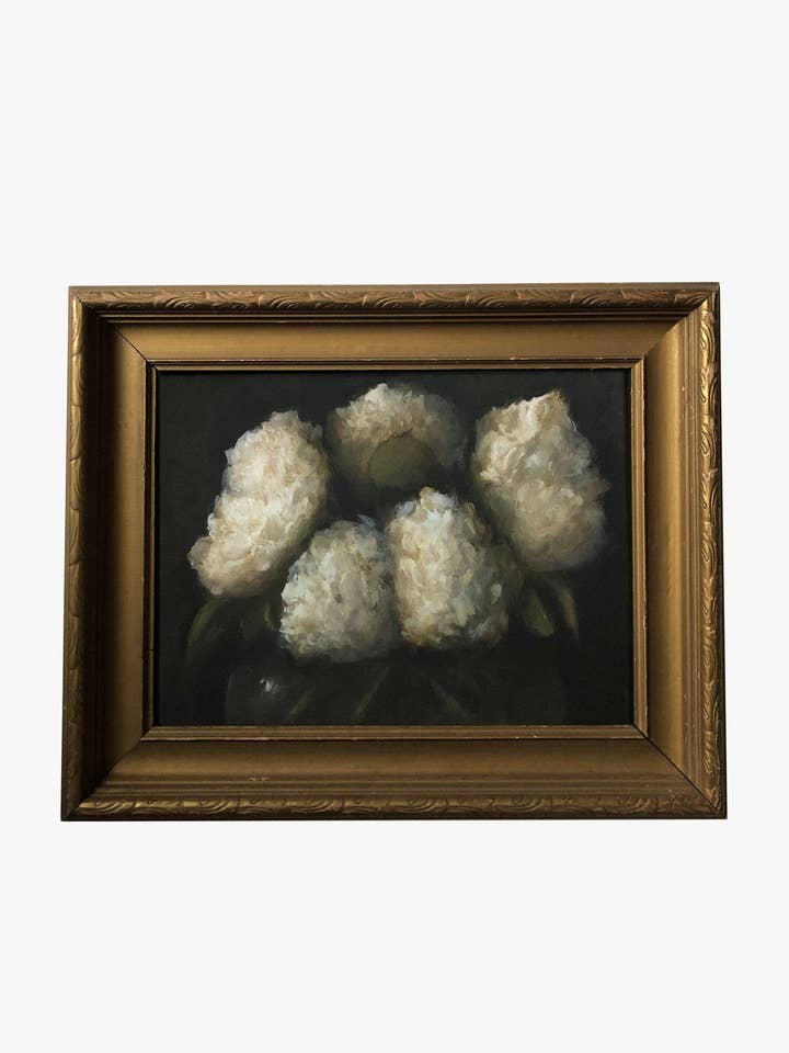 Botanica no.02 Canvas Print for wholesale by Diana Brambila Art