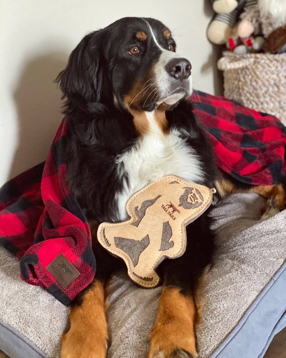 Tall Tails - Wholesale Pet Toy - Dog - Tall Tails Natural Leather & Wool Big Jr. - 9"2