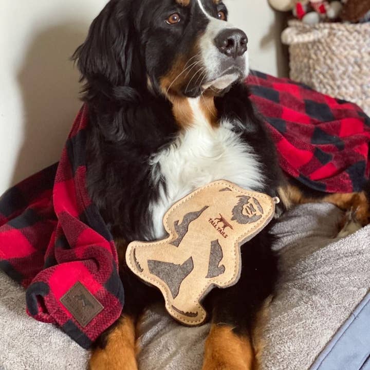 Tall Tails - Wholesale Pet Toy - Dog - Tall Tails Natural Leather & Wool Big Jr. - 9"2