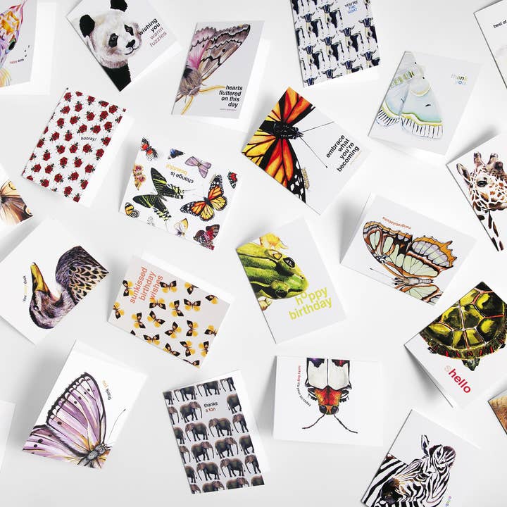 J6R6 – Cartão de saudação diária por atacado – Cartão Branco de Insetos2