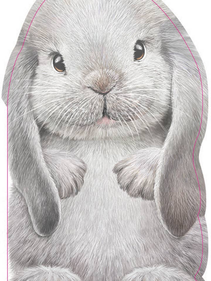 Furry Bunny (BB) for wholesale by Sourcebooks