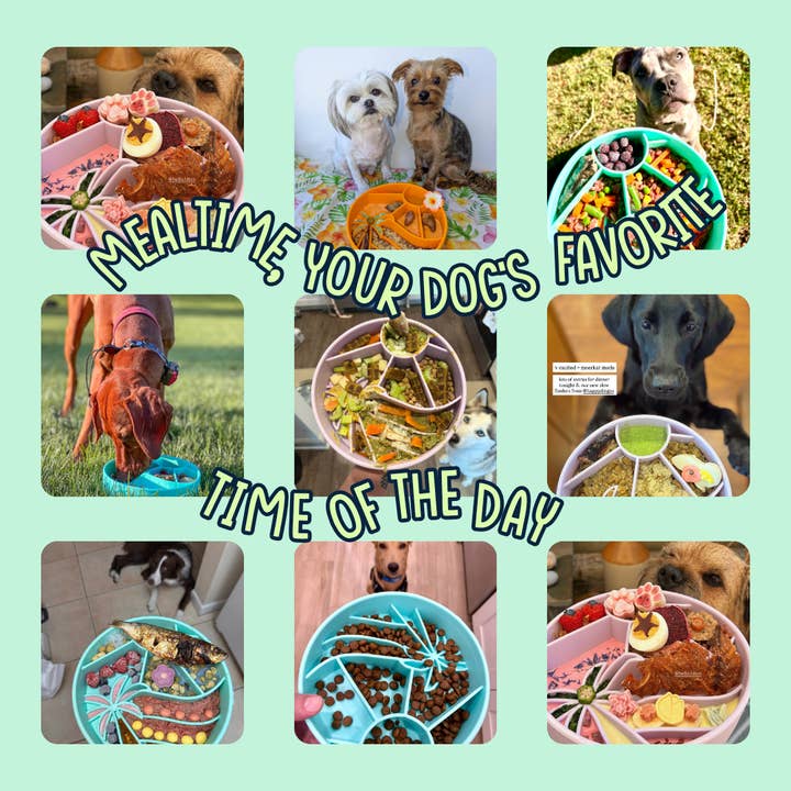 Happy Dingos - Wholesale Pet Bowl - Cat/Dog - Loco Coco Interactive Slow Feeder Bowl 6