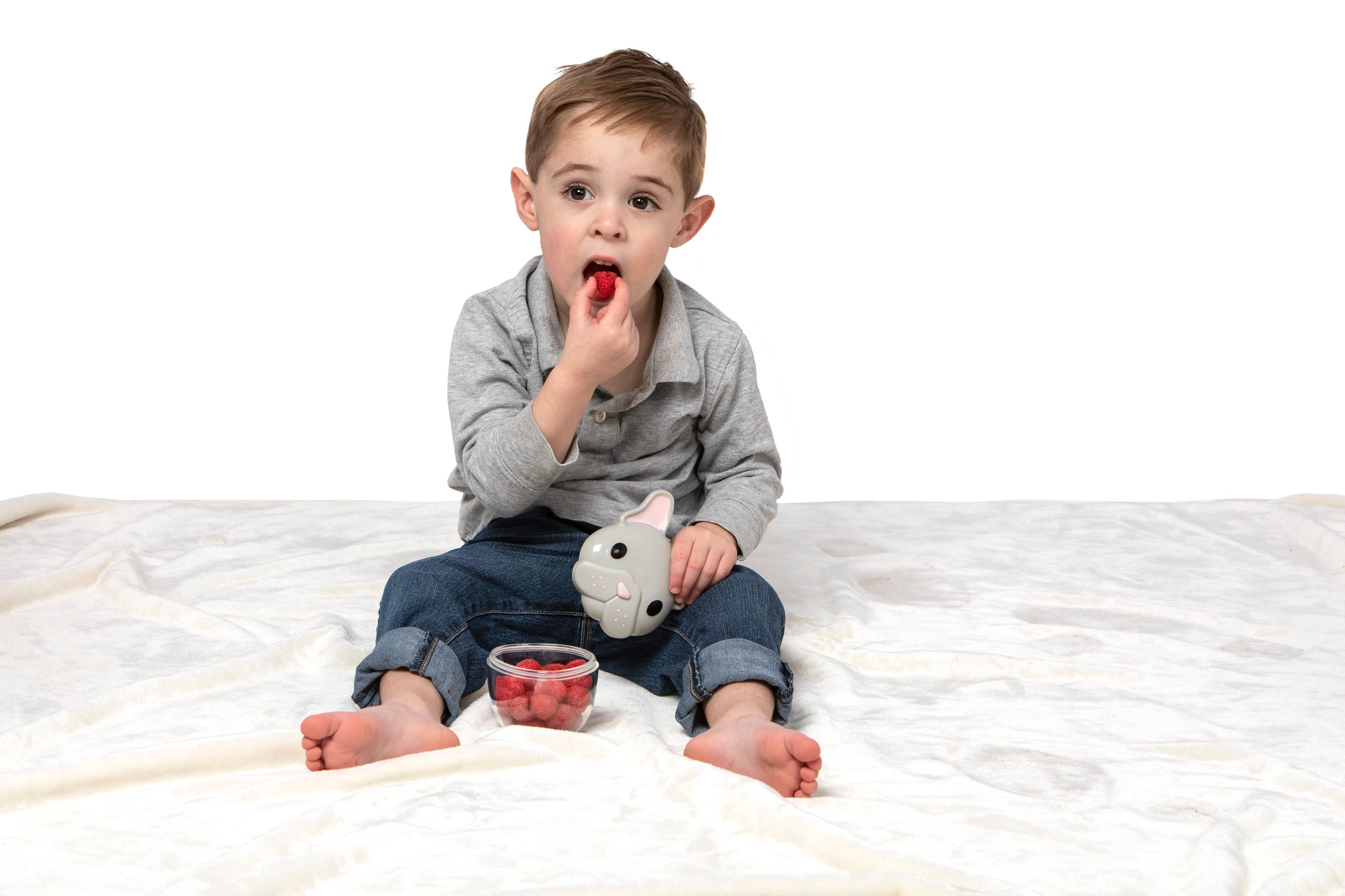 melii - Wholesale Snackbox - Kinderen en baby - Snack Container - Bulldog2