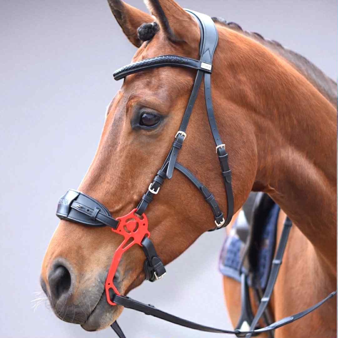 EPONIA EQUESTRIAN LIFESTYLE - Wholesale Horseback Riding Gear - Hackamore Bridle bitless  - Italian leather excl shanks3