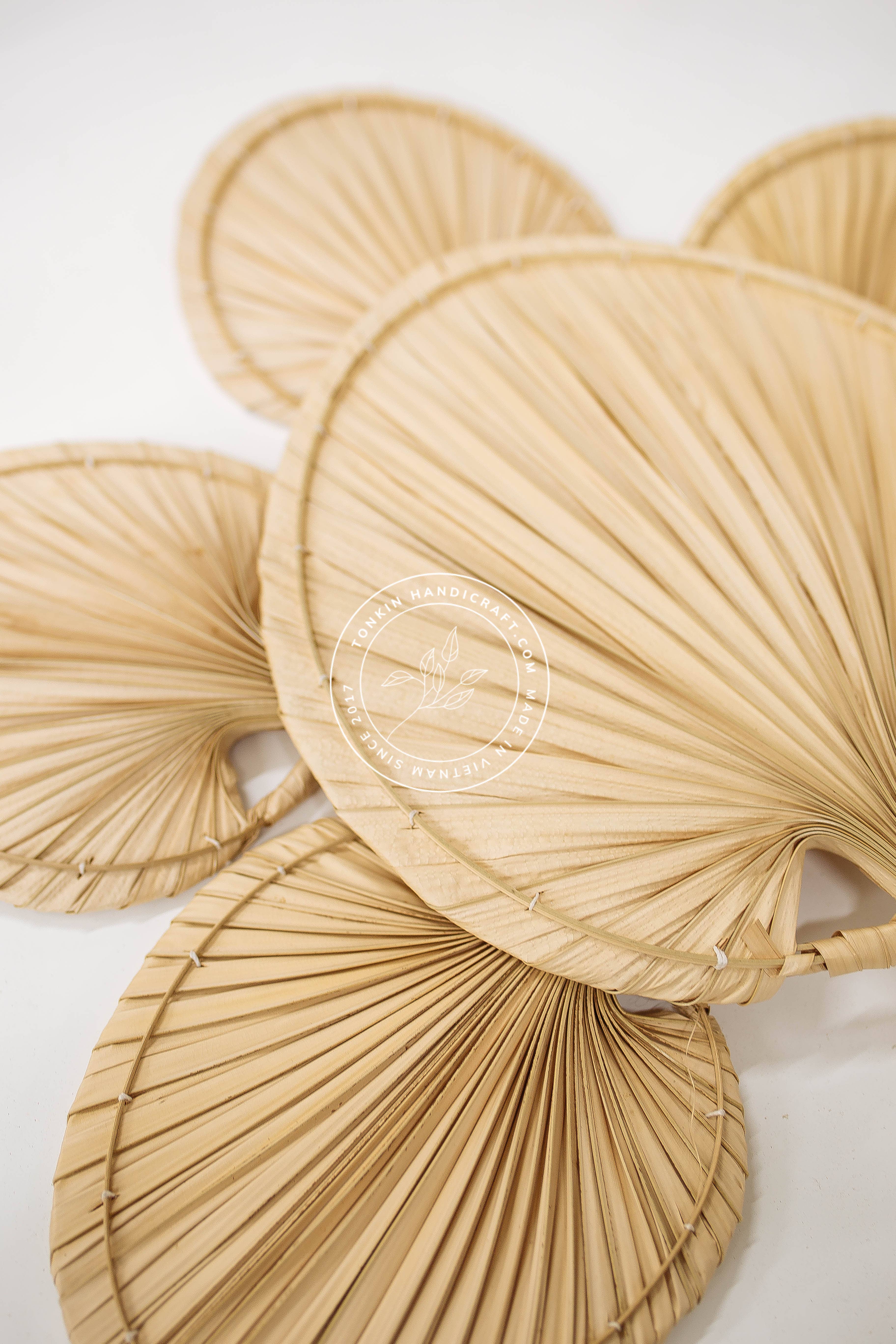 Tonkin Handicraft – wholesale Wall Accent – Palm Dried fans5
