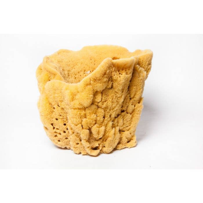 Sponges Direct - Wholesale Bath Pouf/Sponge - Vase Sponges4