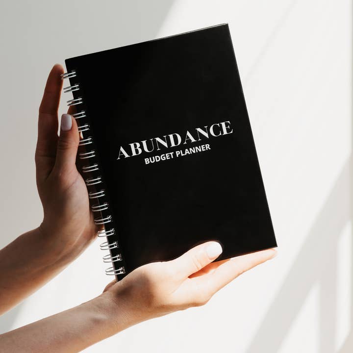 Lamare - Wholesale Planner - Lamare Budget Journal 2024-2025 – Bill Planner & Organizer