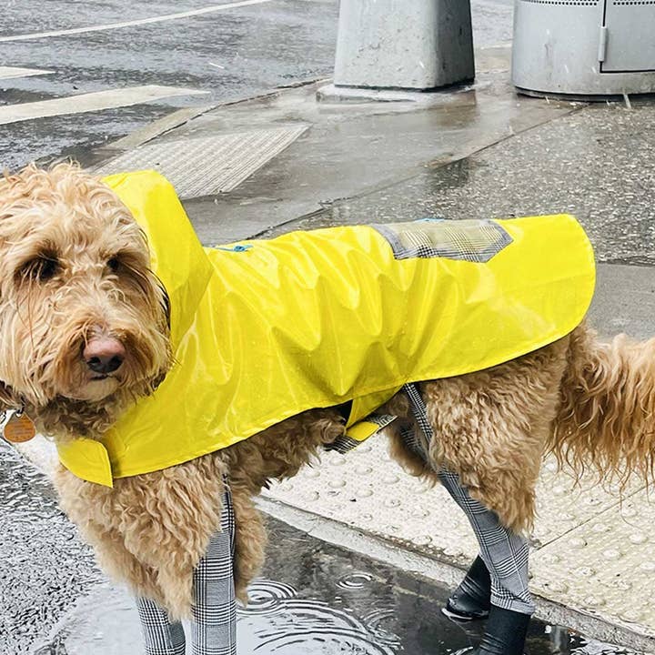 Lightweight Dog Raincoat for wholesale by Walkee Paws