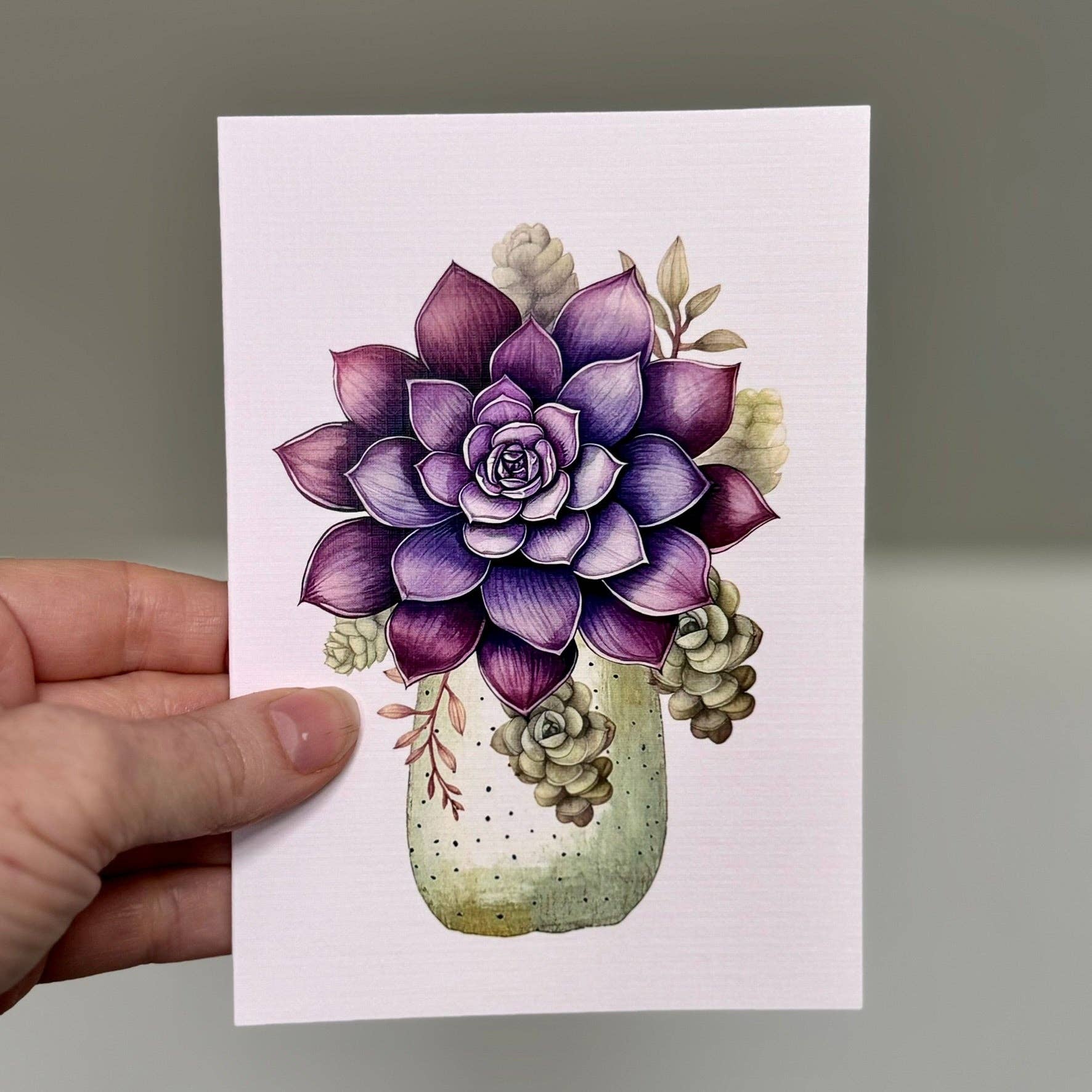 Scattered Seed Co - Wholesale Everyday greeting card - SUCCULENTS in Pots greeting cards set of 49