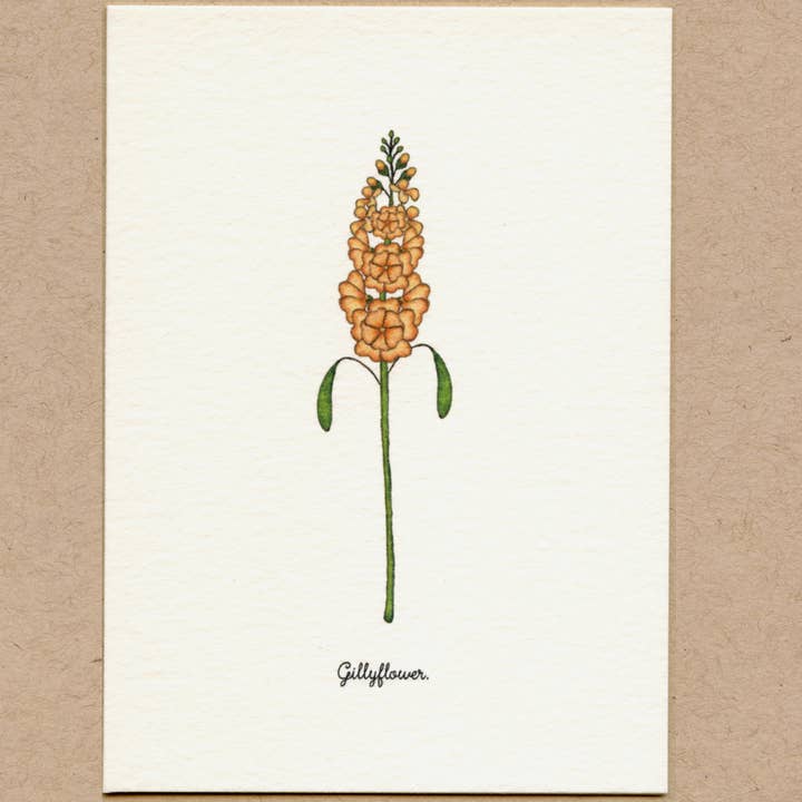 Beth Mueller - Wholesale Everyday Greeting Card - Flowers, Set 7 Boxed Greeting Cards6