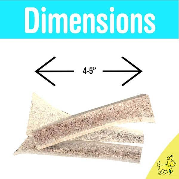 Small Whole All Natural Elk Antlers Dog chew treat 1 count for wholesale by Hotspot Pets