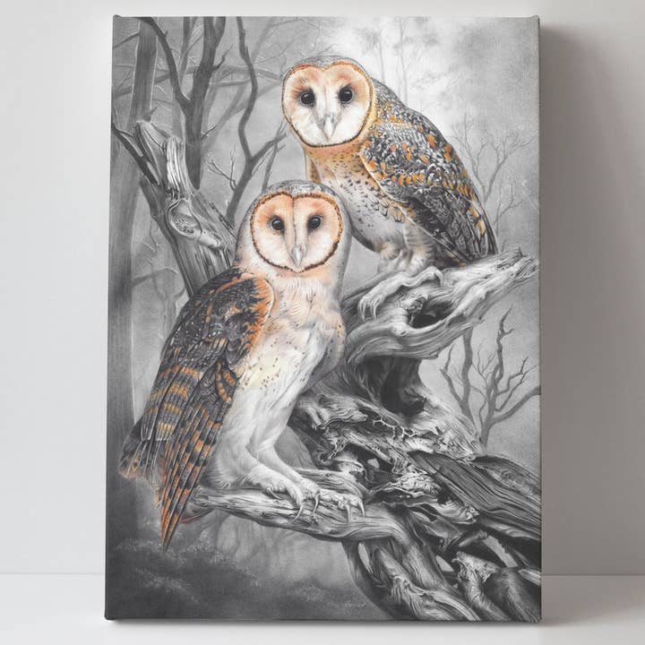 Fiona Francois Art - Wholesale Art Print - 'Tasmanian Masked Owls' canvas print