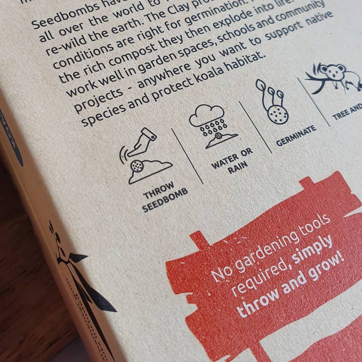 Native Seed Box – wholesale Plant seeds – Koala Food Collection with Ornamental Gum Nuts3