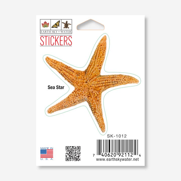 Sea Star Nature Sticker, 2.5" x 3.5" for wholesale by Earth Sky + Water