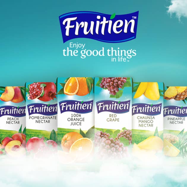 Malik Enterprises - Venta al por mayor Zumos de fruta - FRUITIEN - Jugo de mango Chaunsa (1 L)2