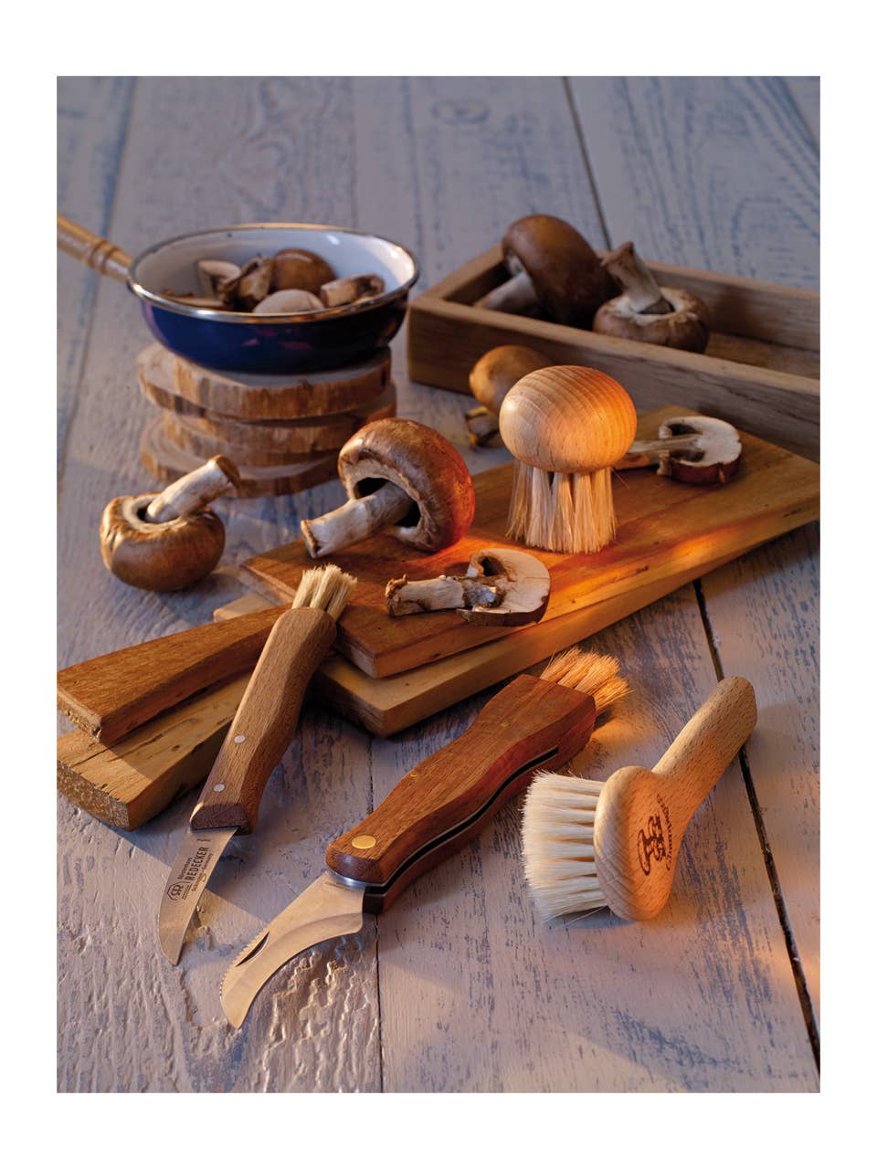 Natural REDECKER Mushroom Brush Round 1.7" for wholesale on Faire1