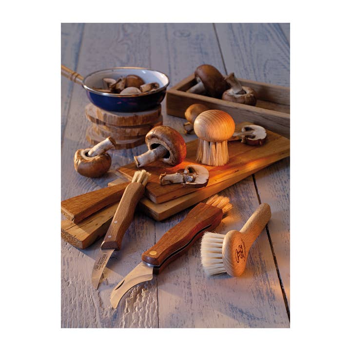 Natural REDECKER Mushroom Brush Round 1.7" for wholesale on Faire1