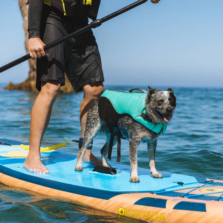 Carolina Pet Company - Wholesale Pet Jacket - Dog - Body Glove Neoprene Pet Life Jacket
