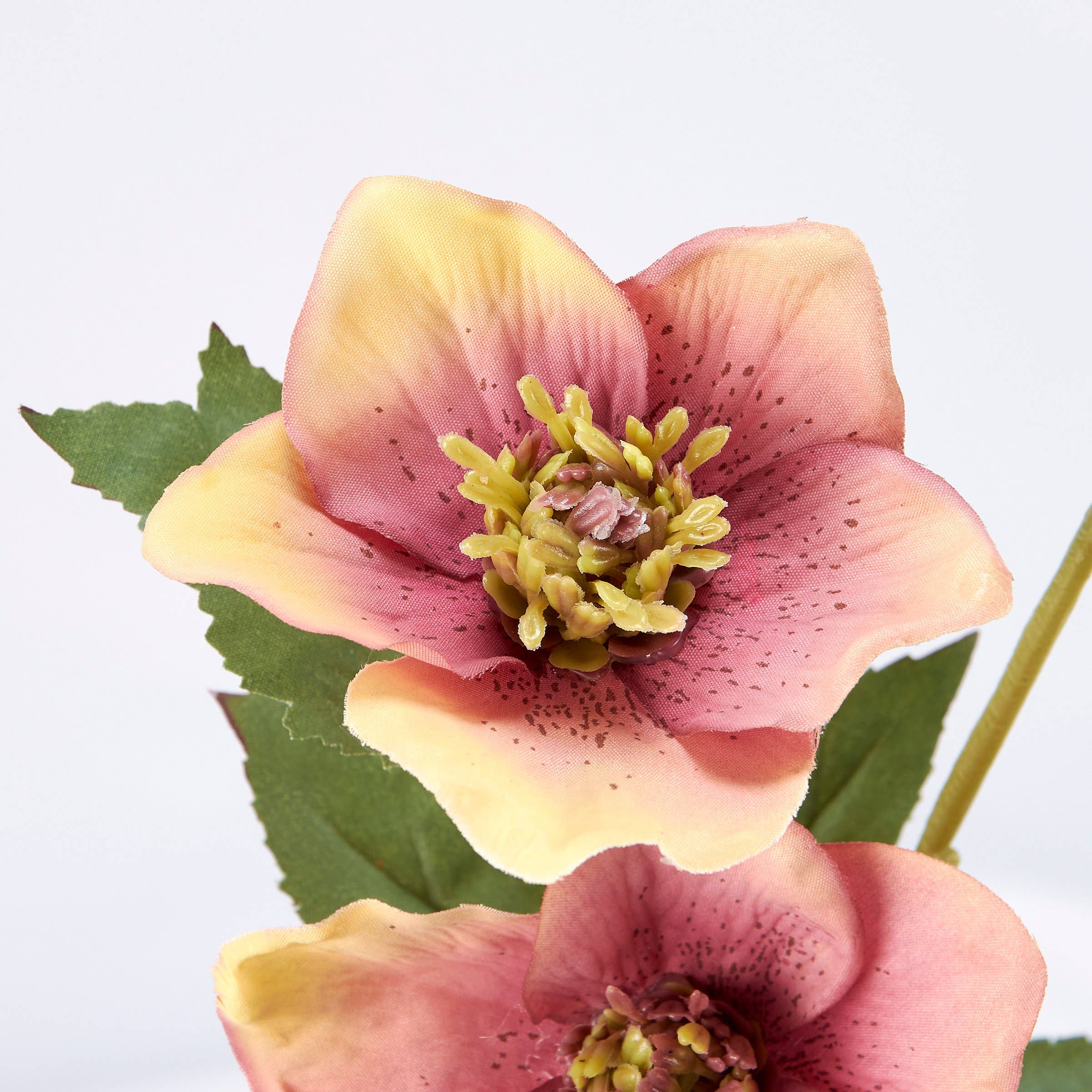 Primitives by Kathy - Wholesale Artificial Flowers - Pink Hellebore Floral Pick2