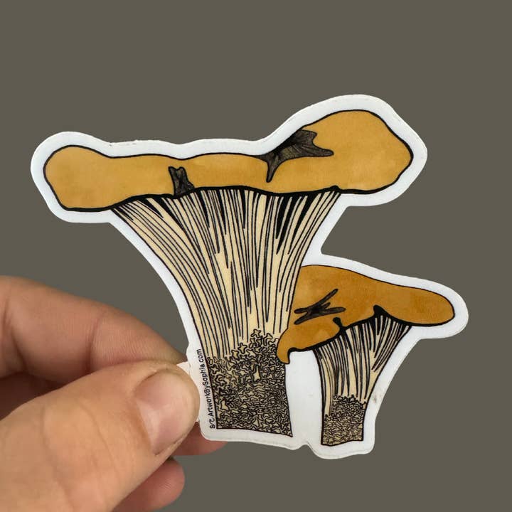 Kantarel | Vinylklistermærke | Farvet tegning | 3 tommer for engroshandel hos Artwork by Sophia